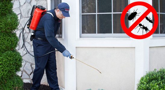 Ümraniye Bit İlaçlama böcek ilaçlama ve haşere kontrolü — ilaclama-tr.com